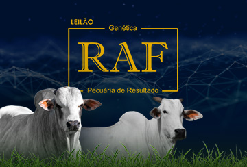 LEILÃO NELORE RAF - PECUÁRIA DE RESULTADO